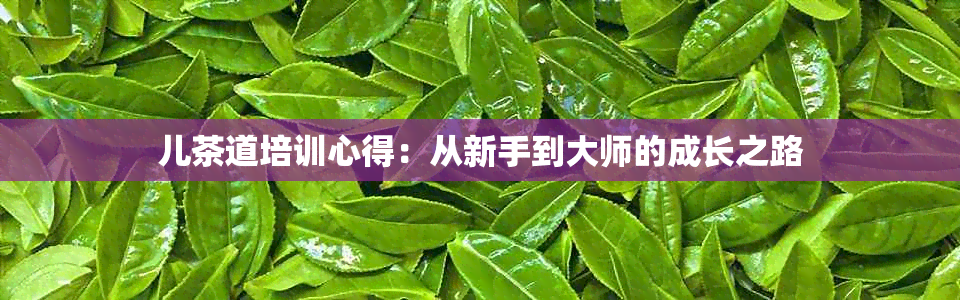 儿茶道培训心得：从新手到大师的成长之路