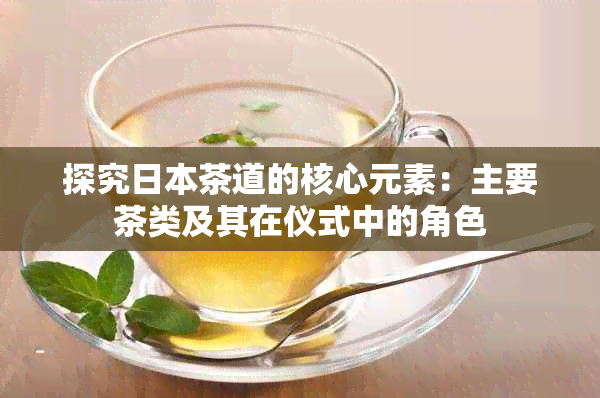 探究茶道的核心元素：主要茶类及其在仪式中的角色