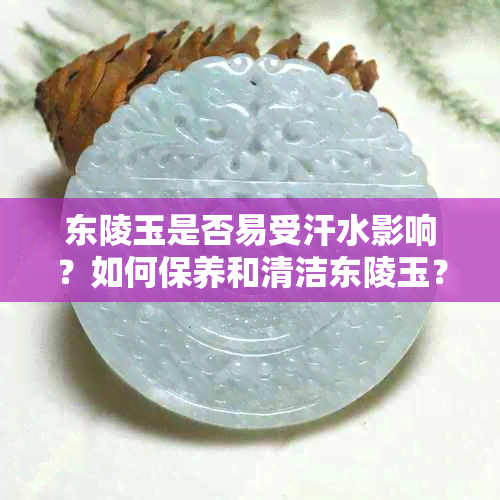 东陵玉是否易受汗水影响？如何保养和清洁东陵玉？