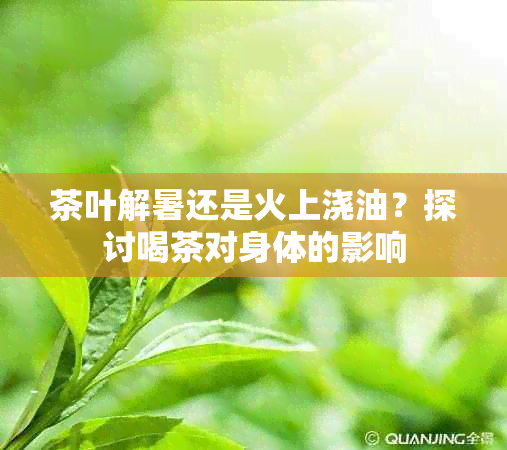 茶叶解暑还是火上浇油？探讨喝茶对身体的影响