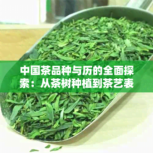 中国茶品种与历的全面探索：从茶树种植到茶艺表演