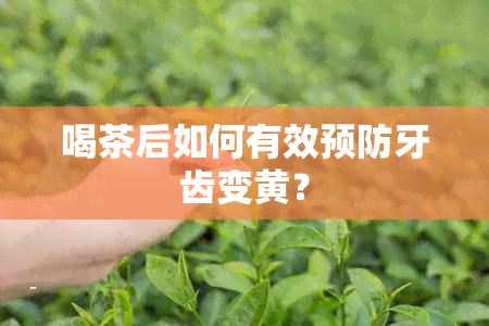 喝茶后如何有效预防牙齿变黄？