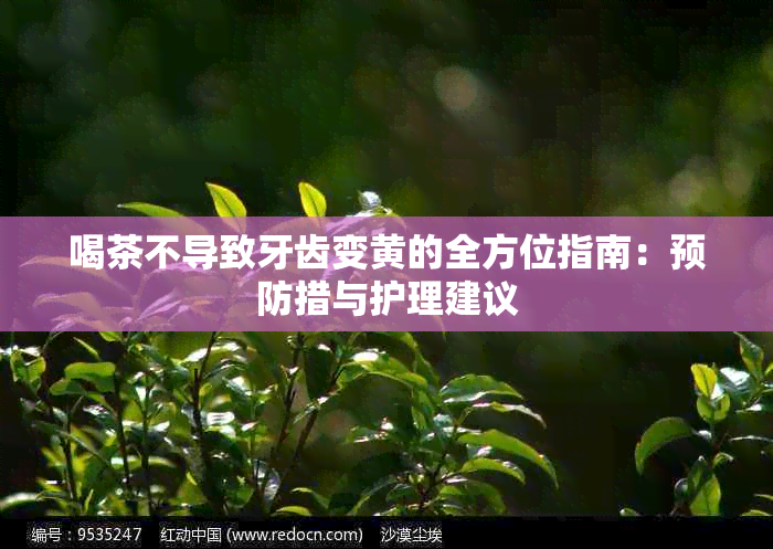 喝茶不导致牙齿变黄的全方位指南：预防措与护理建议