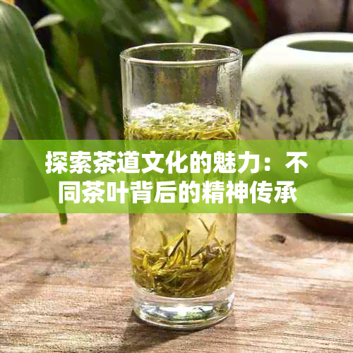 探索茶道文化的魅力：不同茶叶背后的精神传承