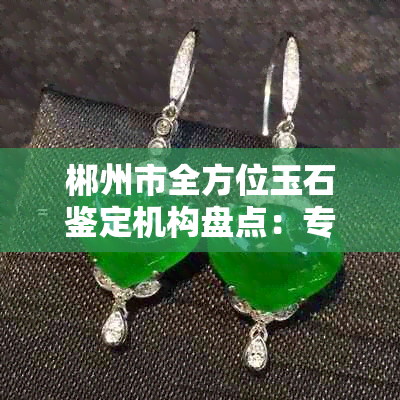 郴州市全方位玉石鉴定机构盘点：专业鉴定、资质认证、服务评价一应俱全！