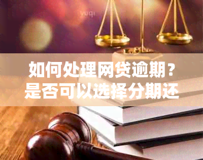 如何处理网贷逾期？是否可以选择分期还款方式？了解详细解决方案和建议