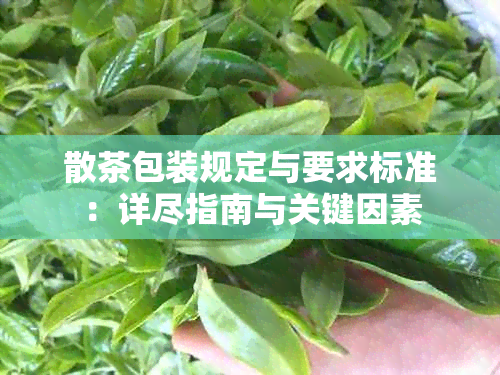 散茶包装规定与要求标准：详尽指南与关键因素