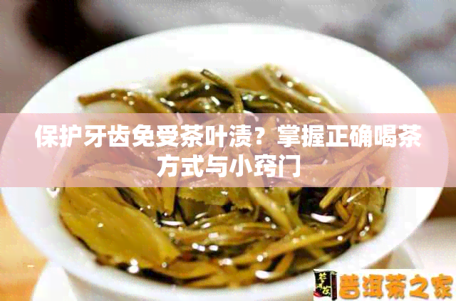 保护牙齿免受茶叶渍？掌握正确喝茶方式与小窍门