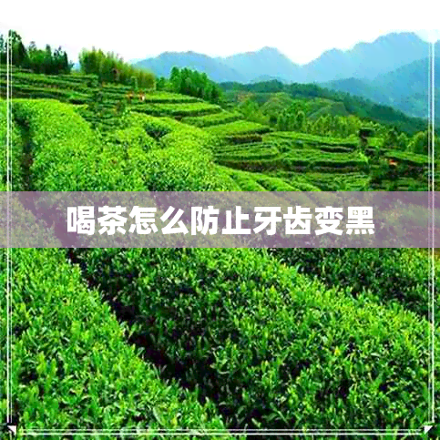 喝茶怎么防止牙齿变黑