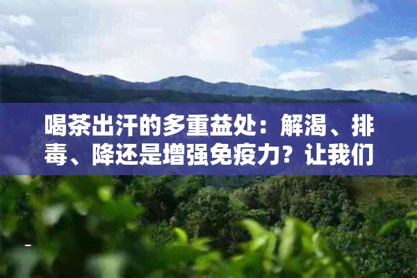 喝茶出汗的多重益处：解渴、排、降还是增强免疫力？让我们一探究竟