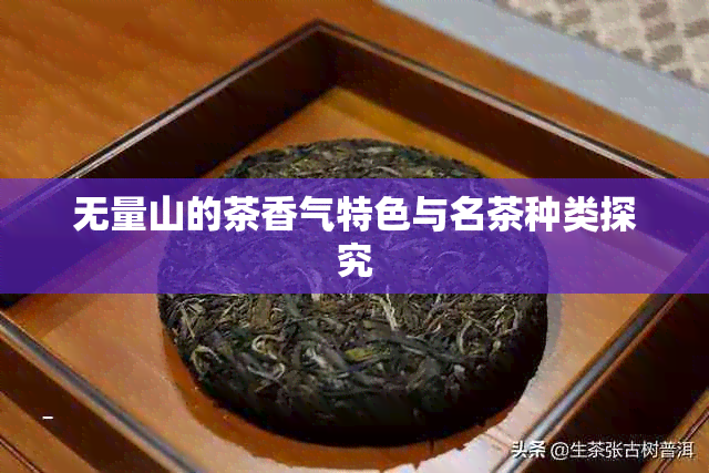 无量山的茶香气特色与名茶种类探究