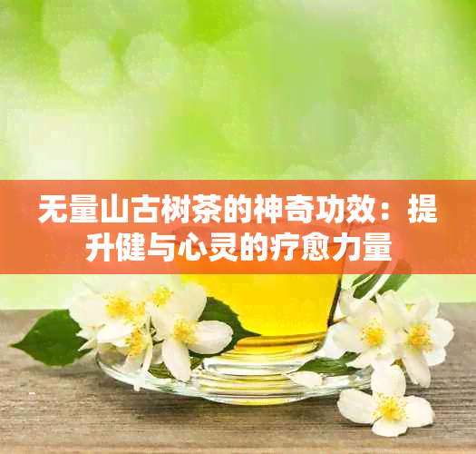 无量山古树茶的神奇功效：提升健与心灵的疗愈力量