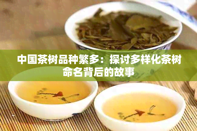 中国茶树品种繁多：探讨多样化茶树命名背后的故事