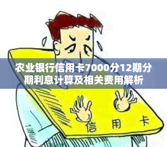 农业银行信用卡7000分12期分期利息计算及相关费用解析