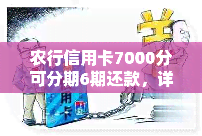 农行信用卡7000分可分期6期还款，详细操作指南及注意事项全解析