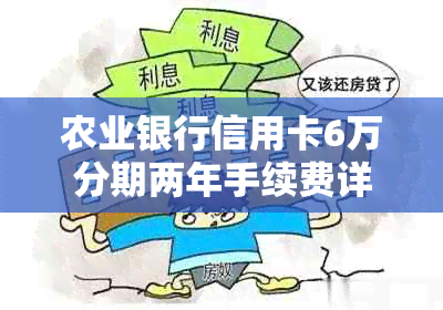 农业银行信用卡6万分期两年手续费详细解析，助您更全面了解还款成本