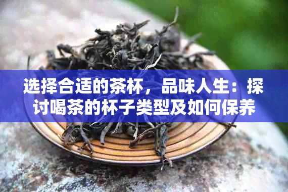 选择合适的茶杯，品味人生：探讨喝茶的杯子类型及如何保养