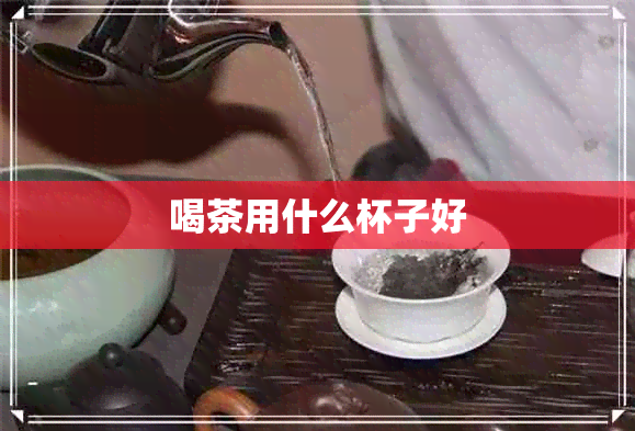 喝茶用什么杯子好