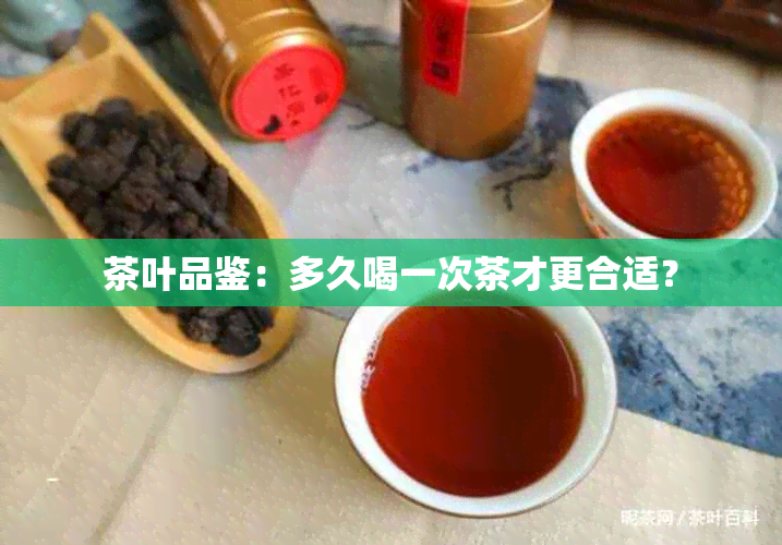 茶叶品鉴：多久喝一次茶才更合适？