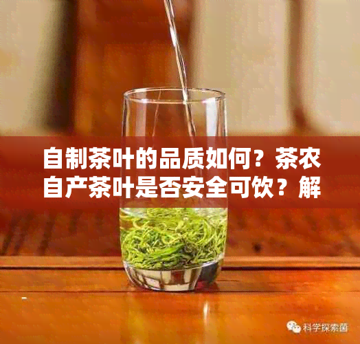 自制茶叶的品质如何？茶农自产茶叶是否安全可饮？解答您的茶叶疑问