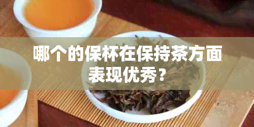 哪个的保杯在保持茶方面表现优秀？