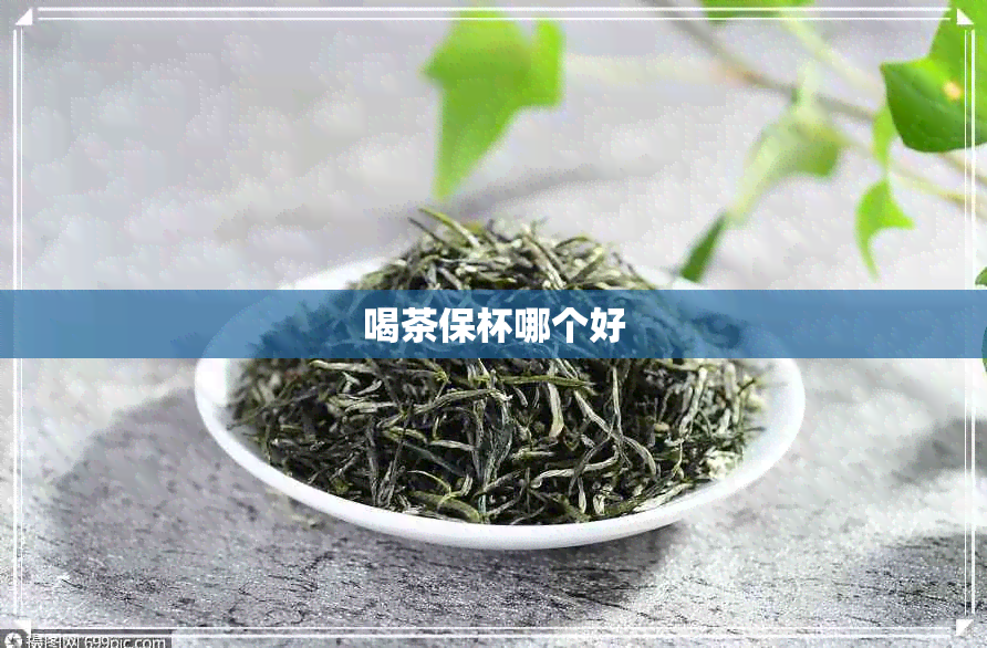 喝茶保杯哪个好