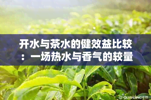 开水与茶水的健效益比较：一场热水与香气的较量