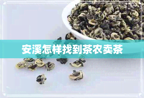 安溪怎样找到茶农卖茶