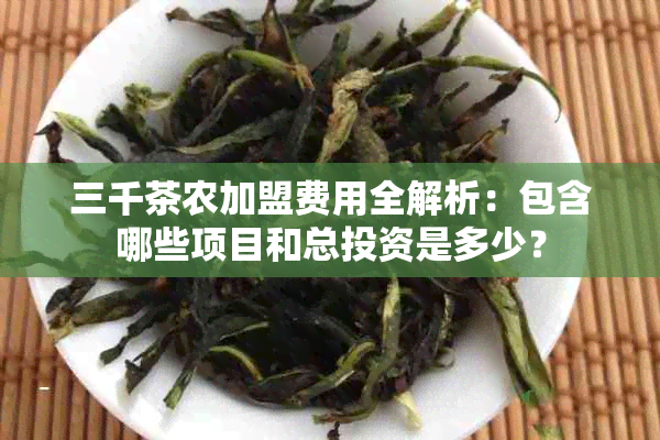 三千茶农加盟费用全解析：包含哪些项目和总投资是多少？