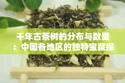 千年古茶树的分布与数量：中国各地区的独特宝藏探索