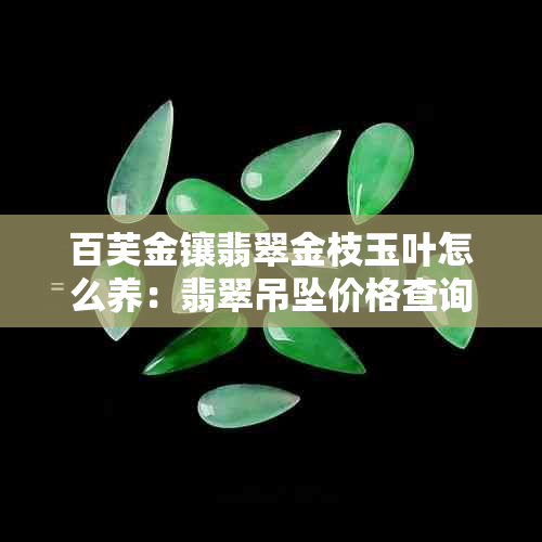 百芙金镶翡翠金枝玉叶怎么养：翡翠吊坠价格查询，款式与寓意解析