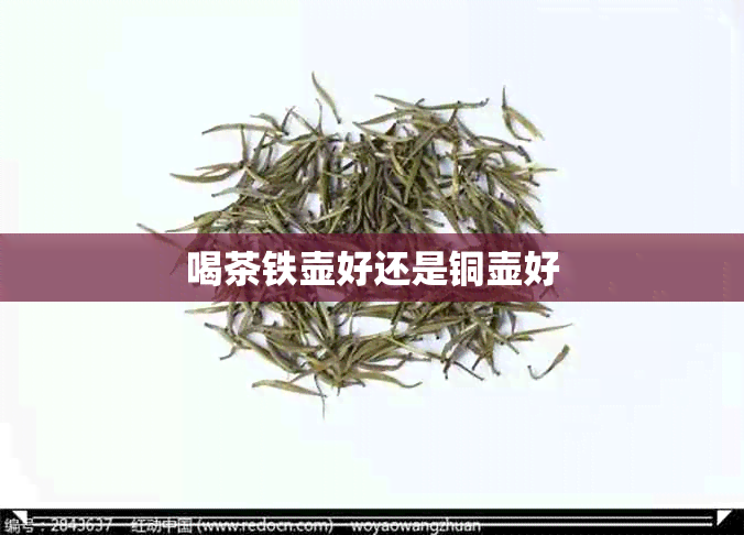 喝茶铁壶好还是铜壶好