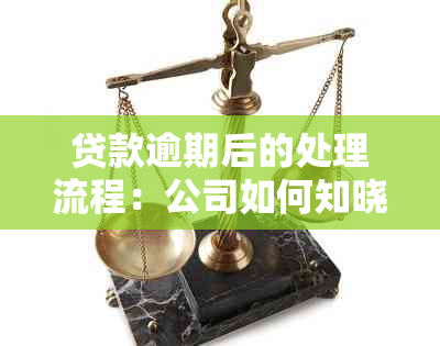 贷款逾期后的处理流程：公司如何知晓并采取行动？