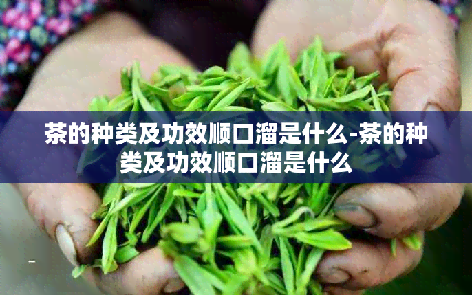 茶的种类及功效顺口溜是什么-茶的种类及功效顺口溜是什么