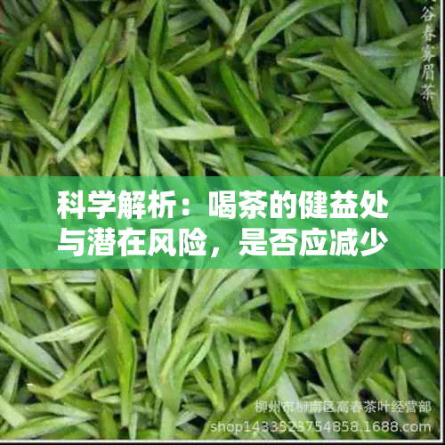 科学解析：喝茶的健益处与潜在风险，是否应减少饮用？