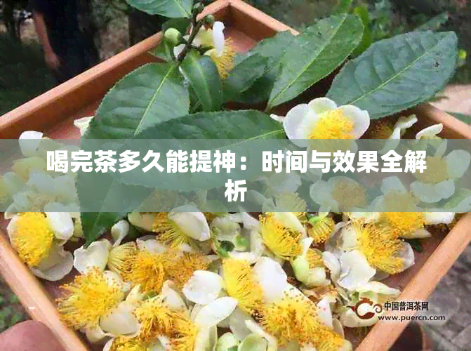 喝完茶多久能提神：时间与效果全解析