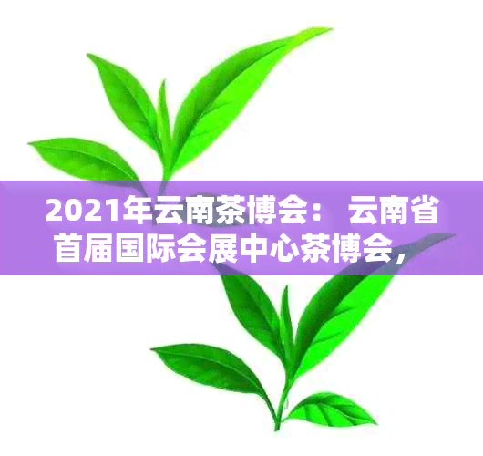 2021年云南茶博会： 云南省首届国际会展中心茶博会， 念茶品亮相