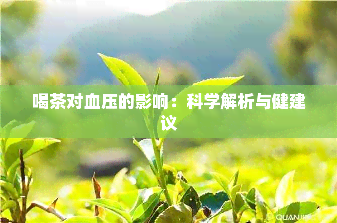 喝茶对血压的影响：科学解析与健建议