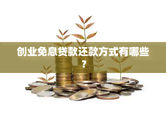 创业免息贷款还款方式有哪些？