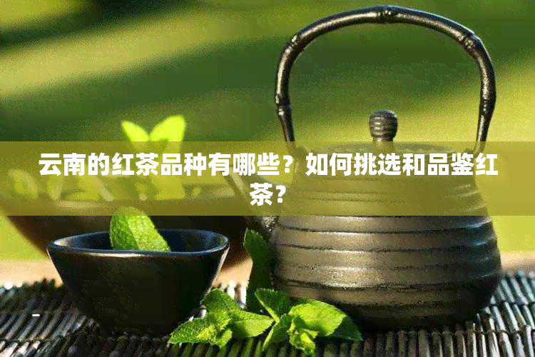 云南的红茶品种有哪些？如何挑选和品鉴红茶？