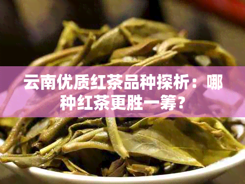 云南优质红茶品种探析：哪种红茶更胜一筹？