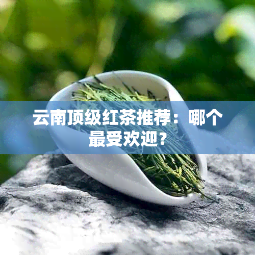 云南顶级红茶推荐：哪个更受欢迎？