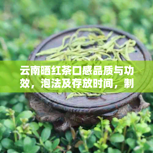 云南晒红茶口感品质与功效，泡法及存放时间，制作工艺解析