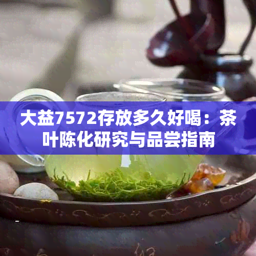 大益7572存放多久好喝：茶叶陈化研究与品尝指南