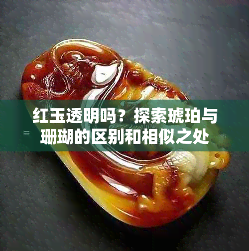 红玉透明吗？探索琥珀与珊瑚的区别和相似之处