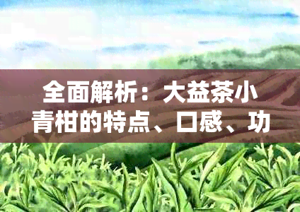 全面解析：大益茶小青柑的特点、口感、功效与泡法，解答您的所有疑问