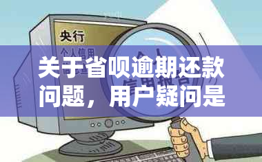 关于省呗逾期还款问题，用户疑问是否需要一次性还清