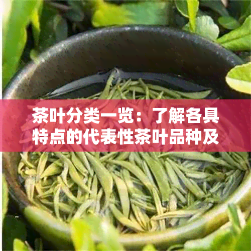 茶叶分类一览：了解各具特点的代表性茶叶品种及其功效