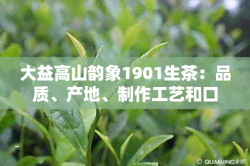 大益高山韵象1901生茶：品质、产地、制作工艺和口感的全面解析