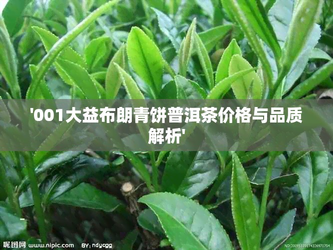 '001大益布朗青饼普洱茶价格与品质解析'